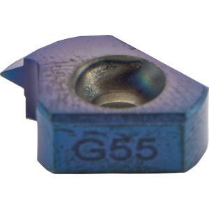 T10 G55 BLU
