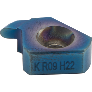 T10 K R09 H22 BLU
