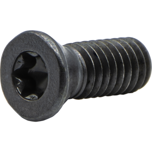 S21 INSERT SCREW