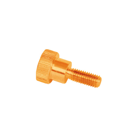 CLAMPING SCREW