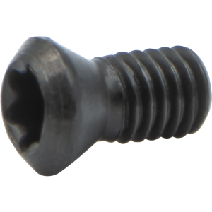 S19 INSERT SCREW