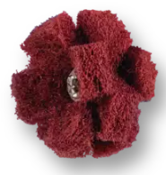 1" POLINOX Cross Buffs, 8-32 Thd. - 2 Layers, Aluminum Oxide - Coarse Grade
