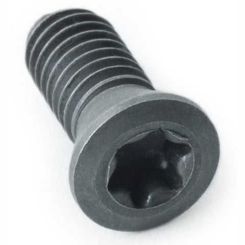 JC3081 SERIES 3-4 TORX SCREWS (10)